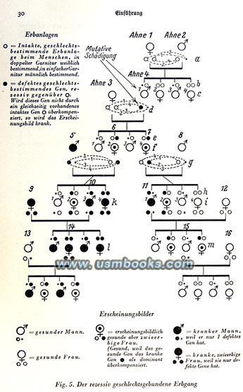 preventing genetic disorders in Nazi Germany