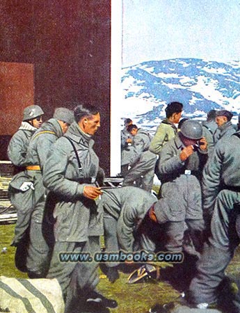 Nazi paratroopers in Norway, Narvik